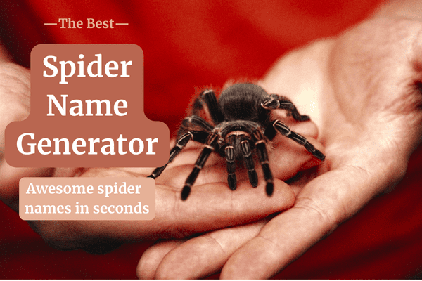 spider name generator thumbnail with two hands holding a big spider
