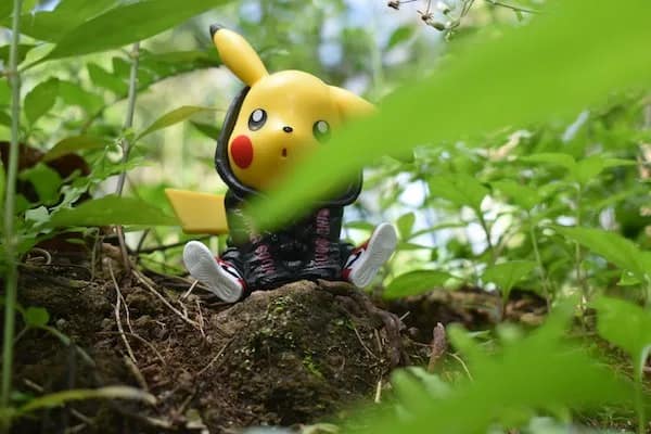 pikachu sitting in a pokemon region