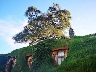 Place where hobbits live with a tree in the background.