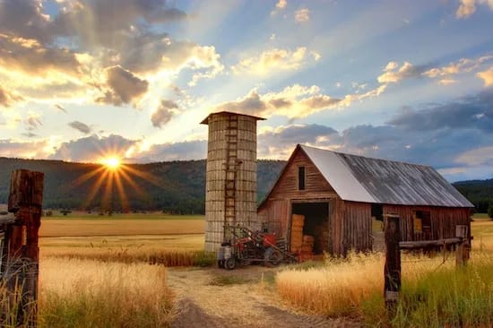 barn with a beige wheat and a bright sun