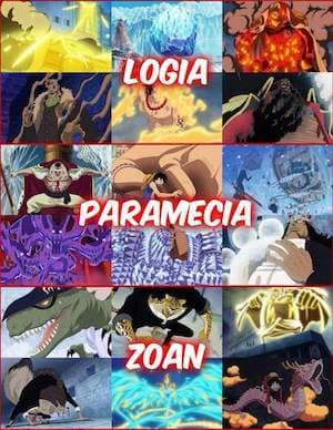 infographic devil fruits form logia paramecia and zoan