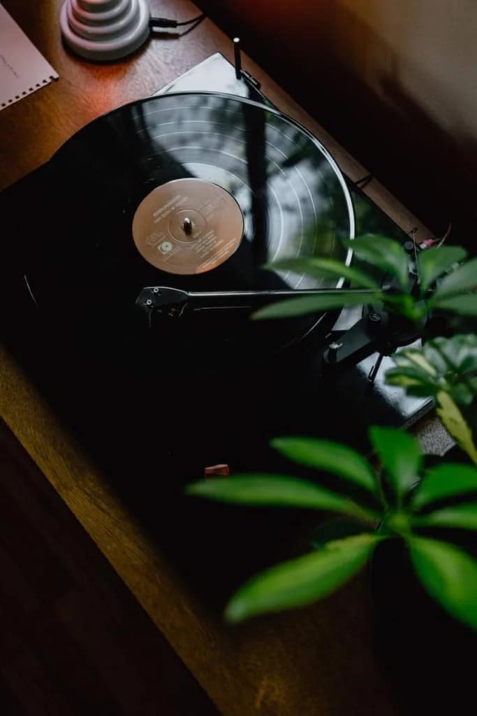turntable with a plant on the table