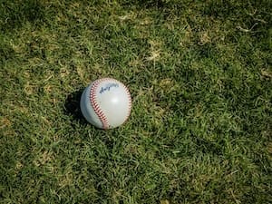 mlb official baseball in grass